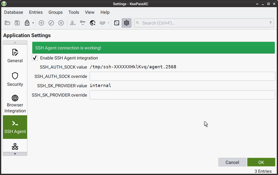 KeePassXC tab: Enabling SSH Agent